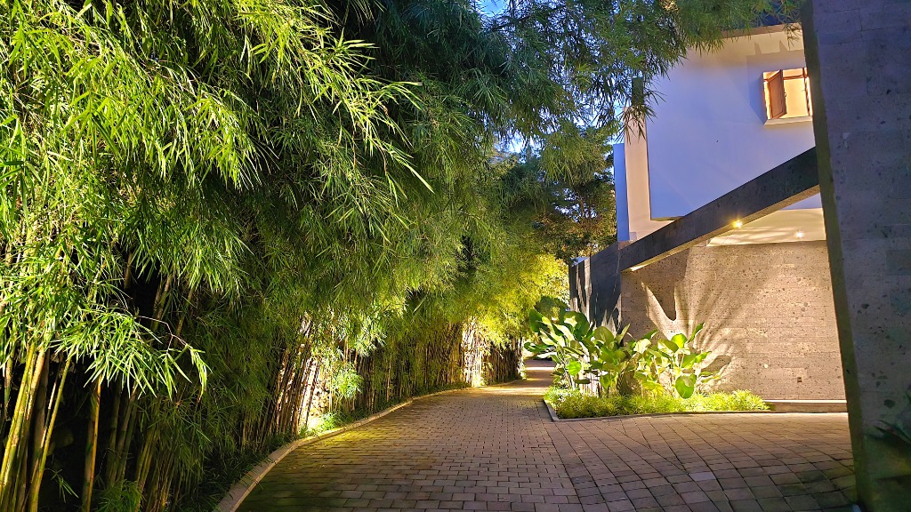 Tropical garden walkway